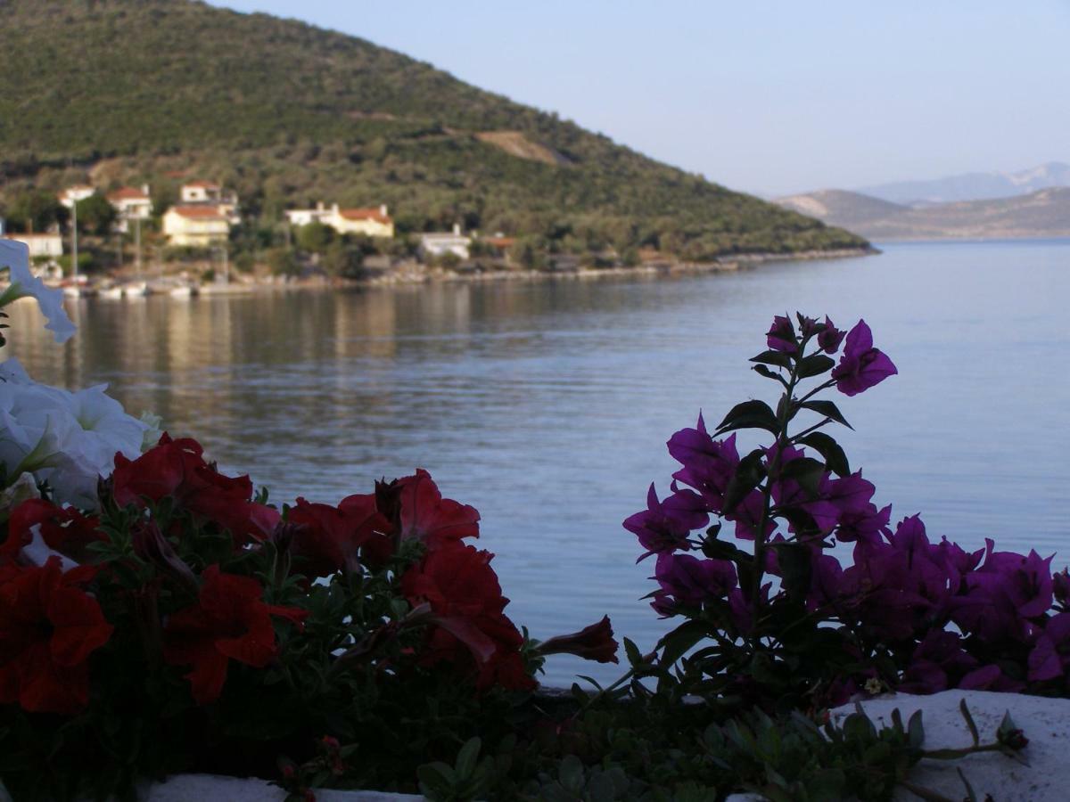 Meli-Ios Guest House Almiropotamos Bagian luar foto